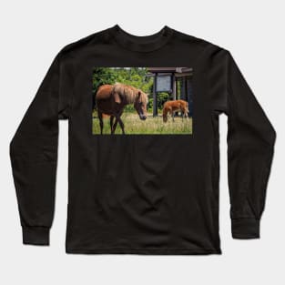 Assateague Pony Moonshadow with Foal Moonbeam Long Sleeve T-Shirt